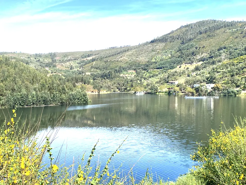 Summer Yoga Retreat 2026 - picture of the dam Yoga Retreat Summer 2026