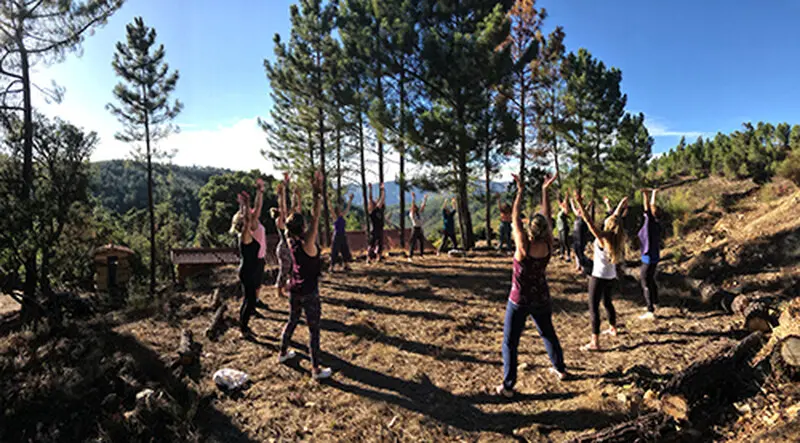 yin yoga teacher training in Europe yin yoga teacher training in Europe