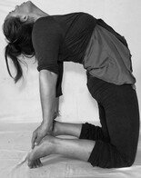 become a yin yoga teacher become a yin yoga teacher