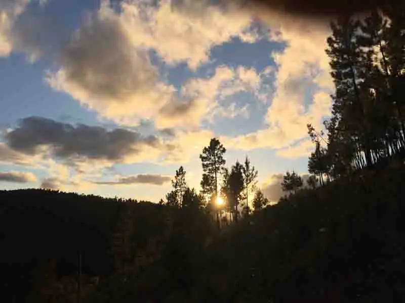 Yoga Retreat Holiday New Year 2026 Yoga Retreat Holiday New Year 2026